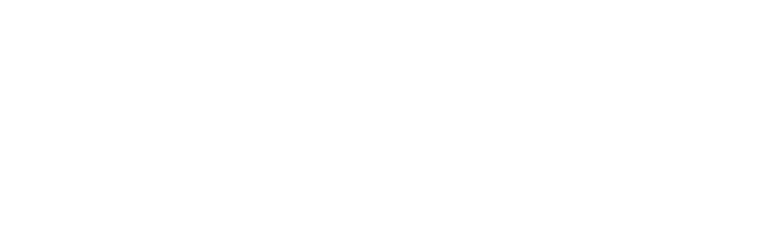Lejuvic Premium Ltd